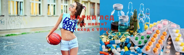 гидра Волоколамск