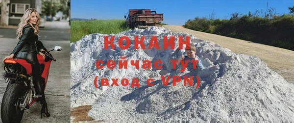 гидра Волоколамск
